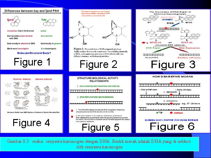 Gambar 8. 3 : reaksi senyawa karsinogen dengan DNA. Bintik merah adalah DNA yang