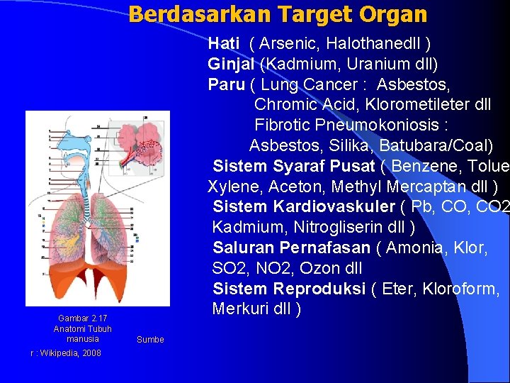 Berdasarkan Target Organ Gambar 2. 17 Anatomi Tubuh manusia r : Wikipedia, 2008 Hati