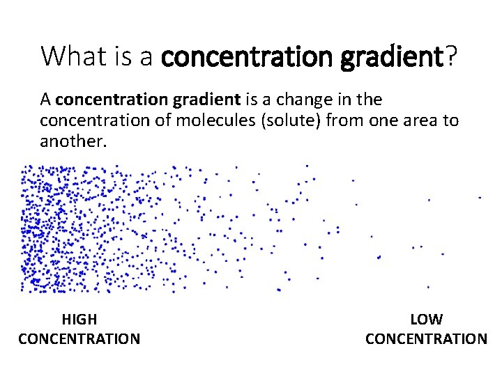What is a concentration gradient? A concentration gradient is a change in the concentration