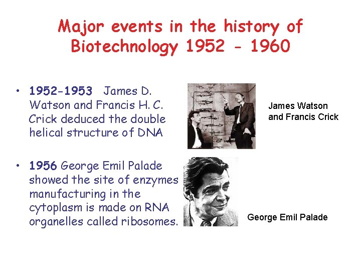 Major events in the history of Biotechnology 1952 - 1960 • 1952 -1953 James