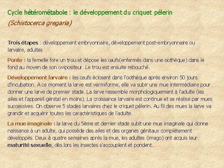 Cycle hétérométabole : le développement du criquet pélerin hétérométabole (Schistocerca gregaria) Trois étapes :