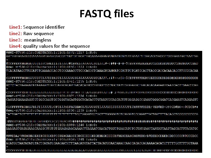 FASTQ files Line 1: Sequence identifier Line 2: Raw sequence Line 3: meaningless Line