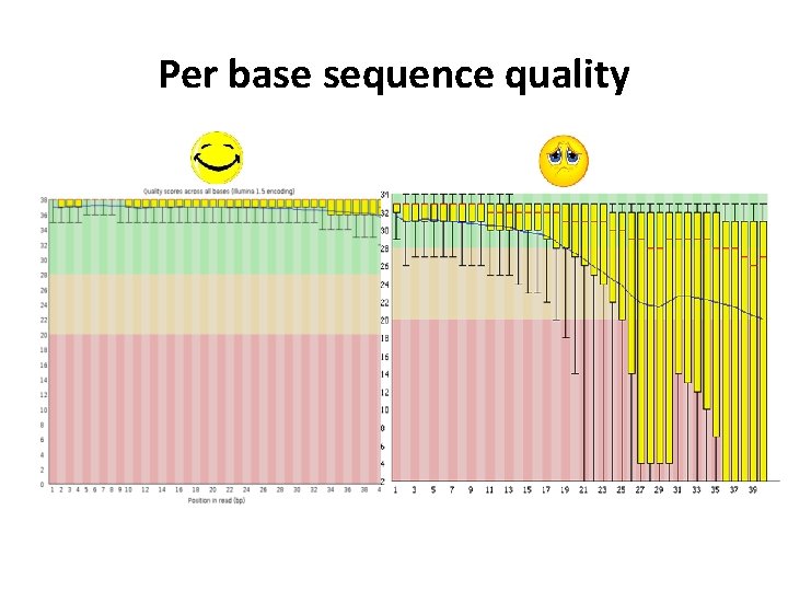 Per base sequence quality 