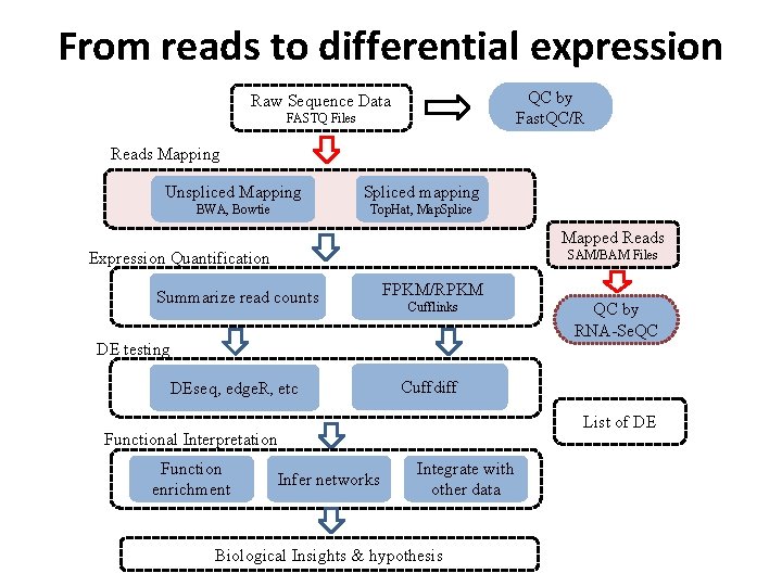 From reads to differential expression QC by Fast. QC/R Raw Sequence Data FASTQ Files