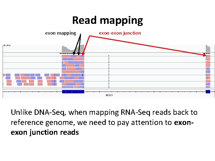 Read mapping exon-exon junction Unlike DNA-Seq, when mapping RNA-Seq reads back to reference genome,