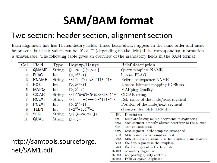 SAM/BAM format Two section: header section, alignment section http: //samtools. sourceforge. net/SAM 1. pdf
