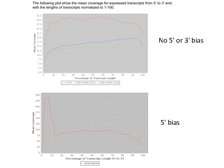 No 5' or 3' bias 5' bias 