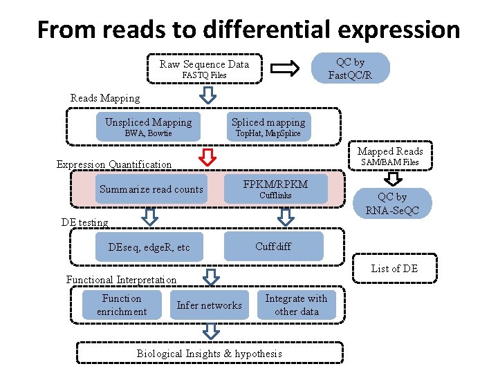 From reads to differential expression QC by Fast. QC/R Raw Sequence Data FASTQ Files