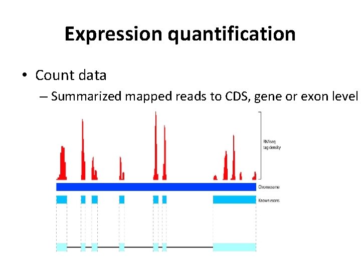 Expression quantification • Count data – Summarized mapped reads to CDS, gene or exon