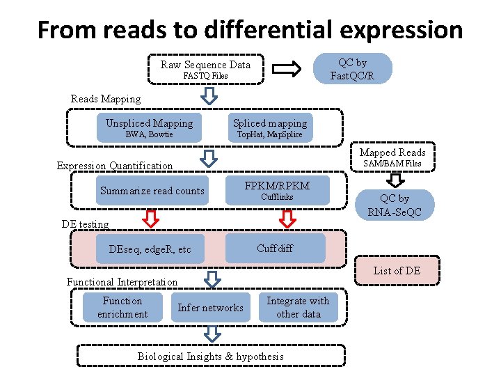 From reads to differential expression QC by Fast. QC/R Raw Sequence Data FASTQ Files