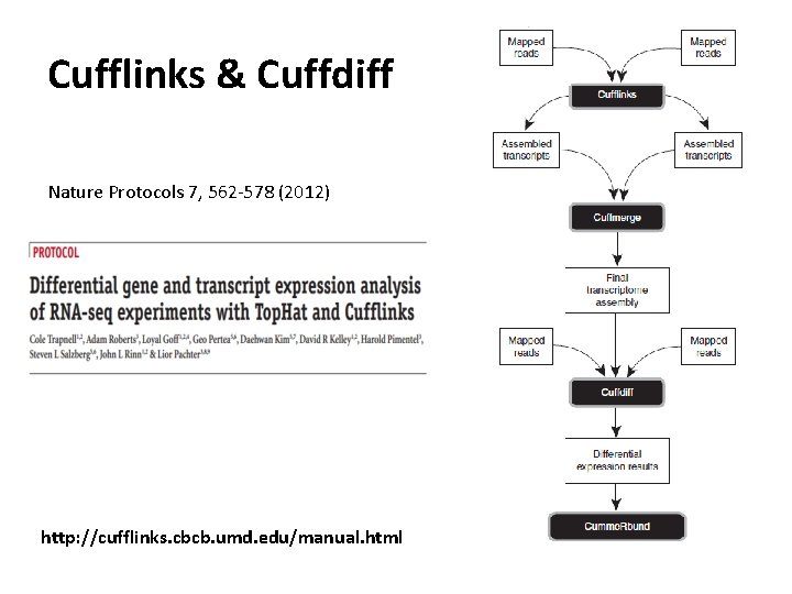 Cufflinks & Cuffdiff Nature Protocols 7, 562 -578 (2012) http: //cufflinks. cbcb. umd. edu/manual.