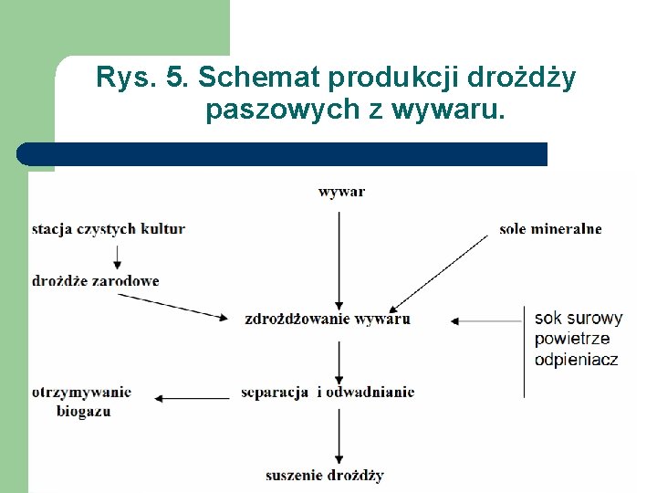 Rys. 5. Schemat produkcji drożdży paszowych z wywaru. 