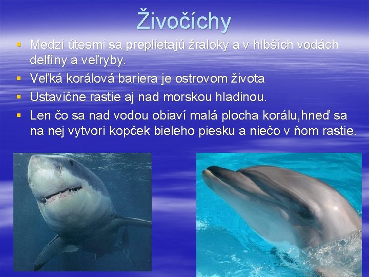 Živočíchy § Medzi útesmi sa preplietajú žraloky a v hlbších vodách delfíny a veľryby.