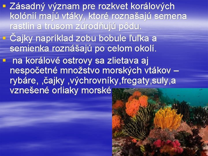 § Zásadný význam pre rozkvet korálových kolónií majú vtáky, ktoré roznašajú semena rastlin a