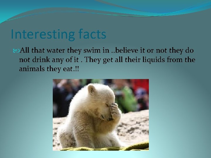 Interesting facts All that water they swim in. . believe it or not they