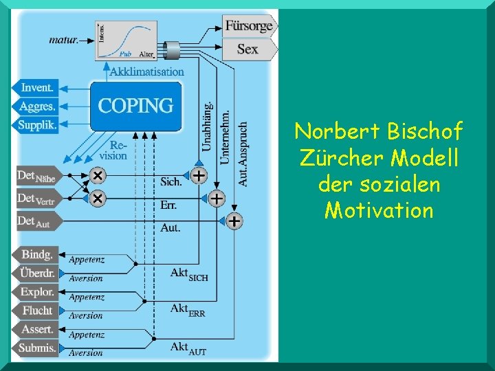 Norbert Bischof Zürcher Modell der sozialen Motivation 