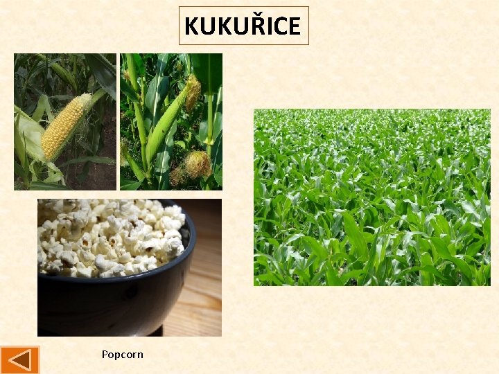 KUKUŘICE Popcorn 