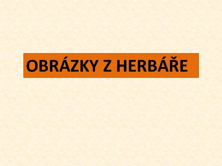 OBRÁZKY Z HERBÁŘE 