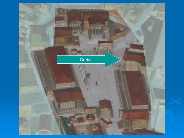 Curia 