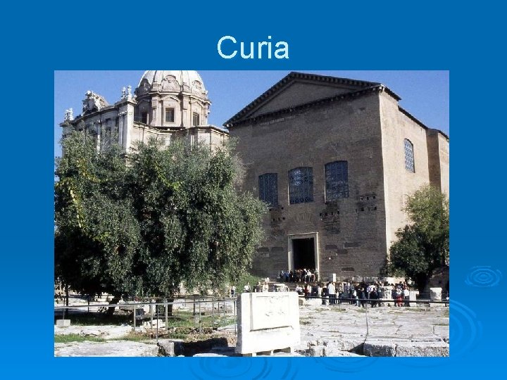 Curia 