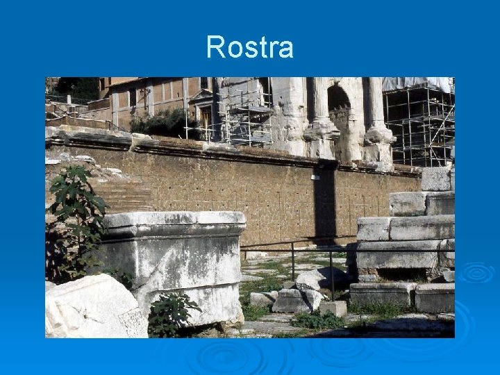 Rostra 