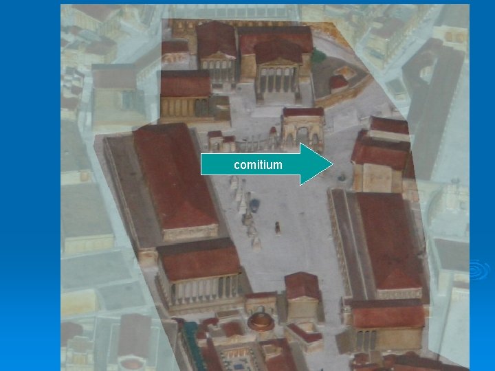 comitium 