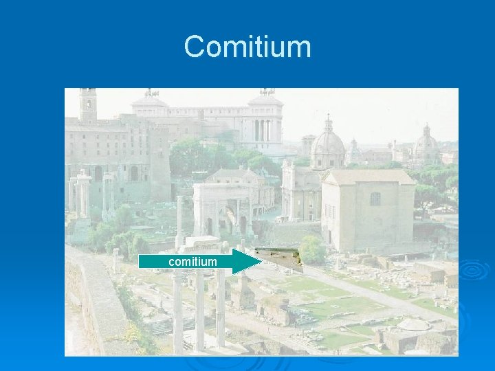 Comitium comitium 