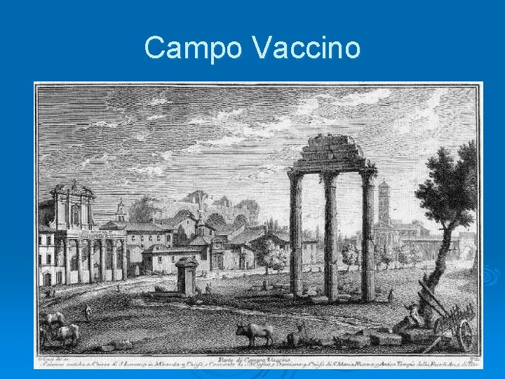 Campo Vaccino 