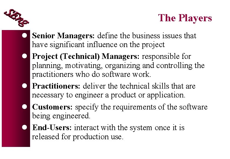 The Players l Senior Managers: define the business issues that have significant influence on