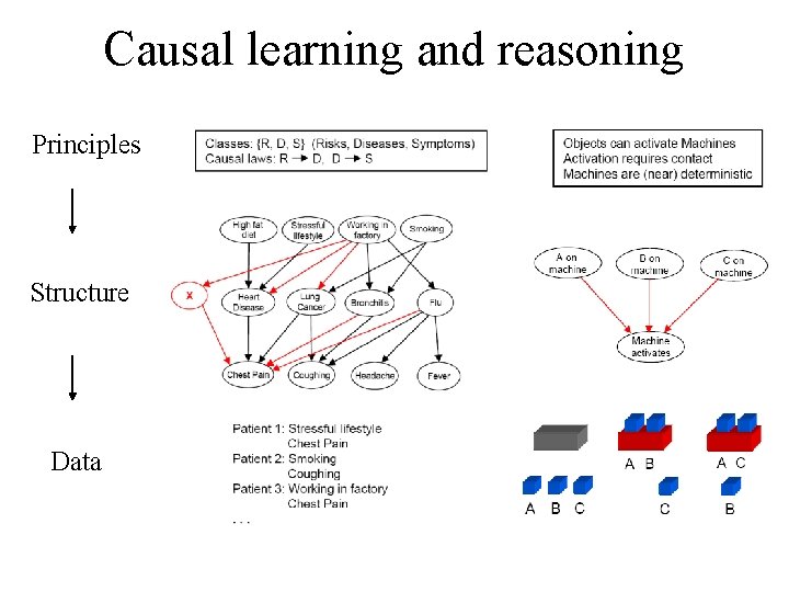 Causal learning and reasoning Principles Structure Data 