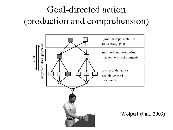 Goal-directed action (production and comprehension) (Wolpert et al. , 2003) 
