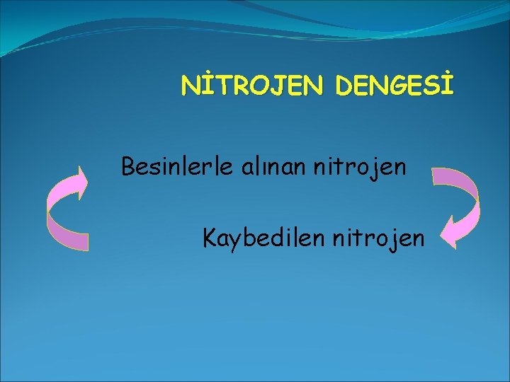 NİTROJEN DENGESİ Besinlerle alınan nitrojen Kaybedilen nitrojen 