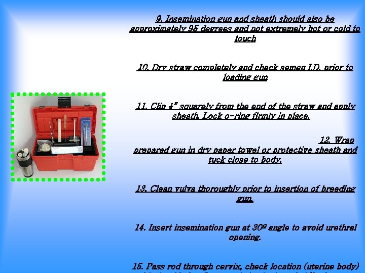 9. Insemination gun and sheath should also be approximately 95 degrees and not extremely