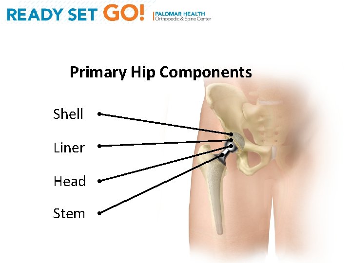 Primary Hip Components Shell Liner Head Stem 