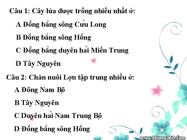 Câu 1: Cây lúa được trồng nhiều nhất ở: A Đô ng bă ng