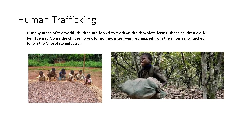 Human Trafficking In many areas of the world, children are forced to work on
