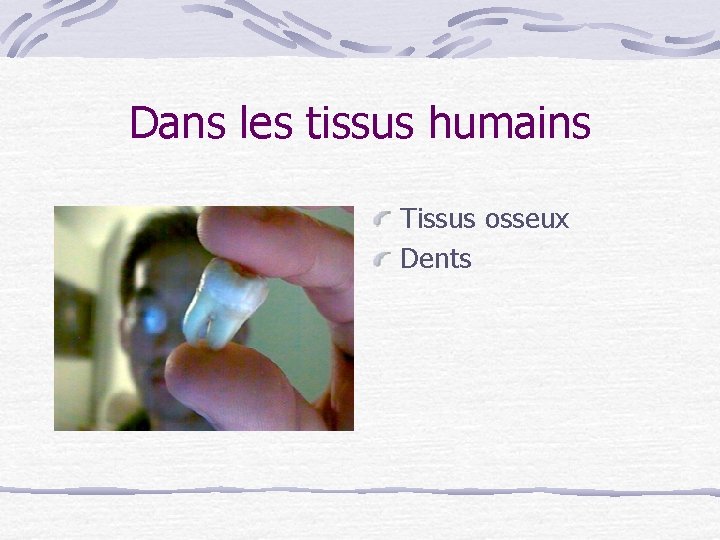 Dans les tissus humains Tissus osseux Dents 