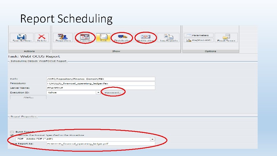 Report Scheduling 