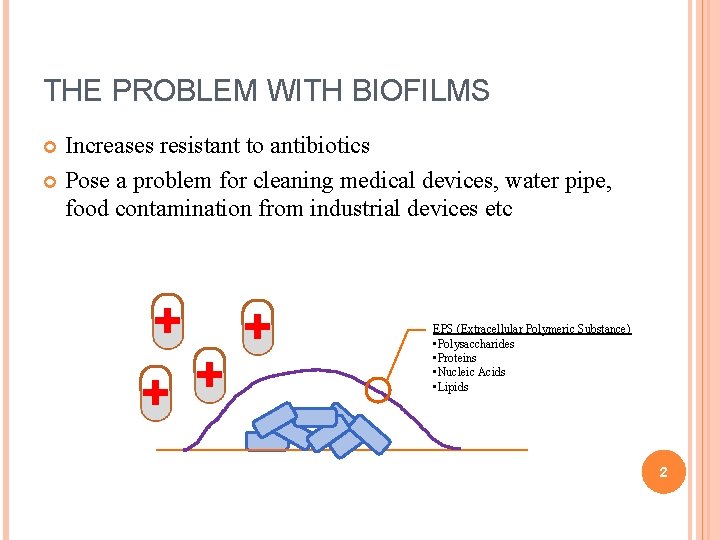 THE PROBLEM WITH BIOFILMS Increases resistant to antibiotics Pose a problem for cleaning medical