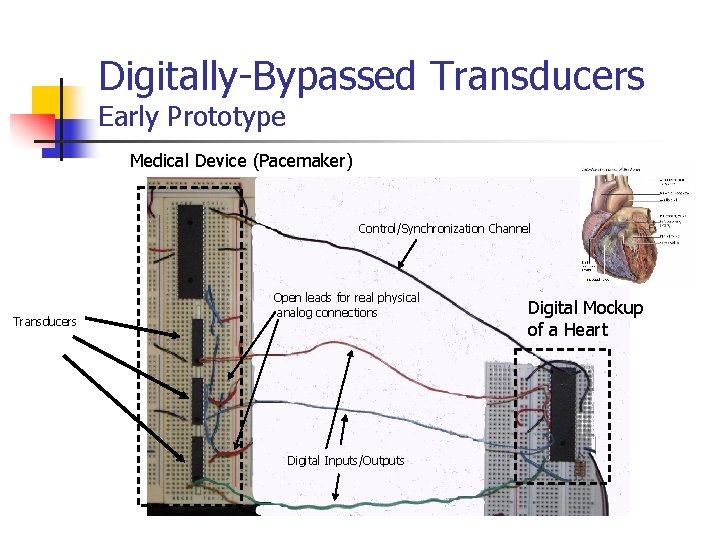 Digitally-Bypassed Transducers Early Prototype Medical Device (Pacemaker) Control/Synchronization Channel Transducers Open leads for real