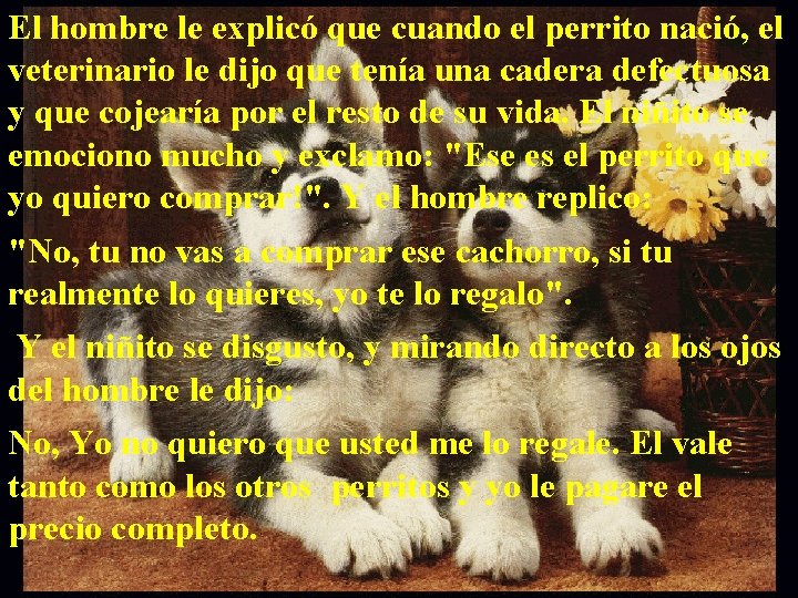El hombre le explicó que cuando el perrito nació, el veterinario le dijo que