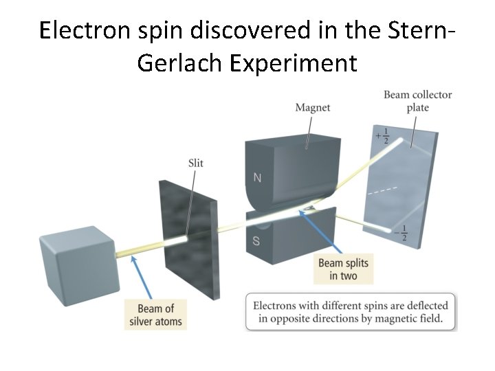 Electron spin discovered in the Stern. Gerlach Experiment 