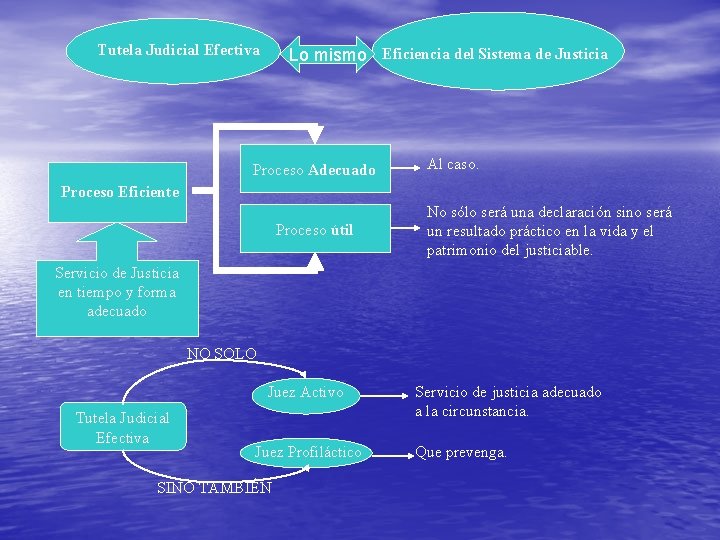 Tutela Judicial Efectiva Lo mismo Eficiencia del Sistema de Justicia Proceso Adecuado Al caso.