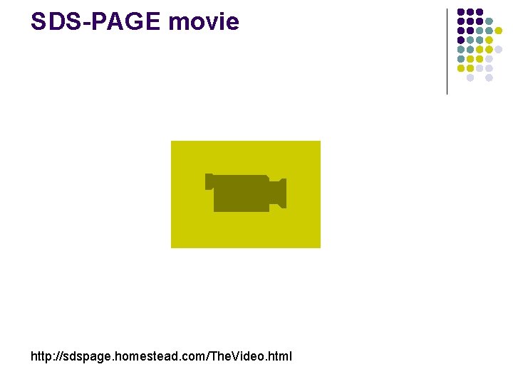 SDS-PAGE movie http: //sdspage. homestead. com/The. Video. html SDS-PAGE movie http: //sdspage. homestead. com/The. Video. html