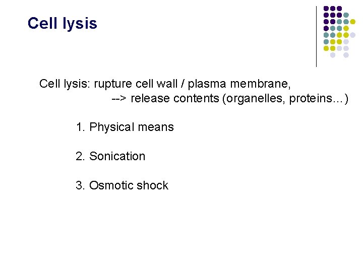 Cell lysis: rupture cell wall / plasma membrane, --> release contents (organelles, proteins…) 1. Cell lysis: rupture cell wall / plasma membrane, --> release contents (organelles, proteins…) 1.