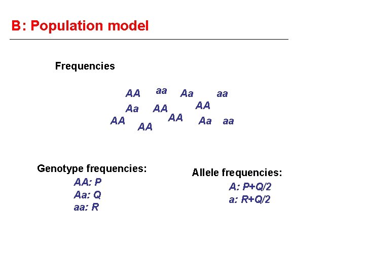B: Population model Frequencies AA Aa AA AA Genotype frequencies: AA: P Aa: Q