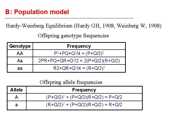 B: Population model Hardy-Weinberg Equilibrium (Hardy GH, 1908; Weinberg W, 1908) Offspring genotype frequencies