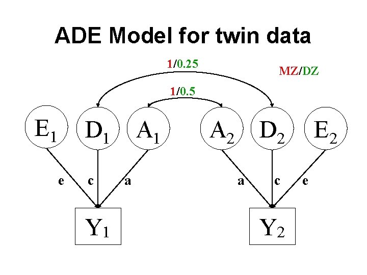 ADE Model for twin data 1/0. 25 MZ/DZ 1/0. 5 E 1 D 1