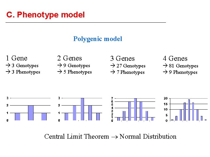 C. Phenotype model Polygenic model 1 Gene 2 Genes 3 Genes 4 Genes 3