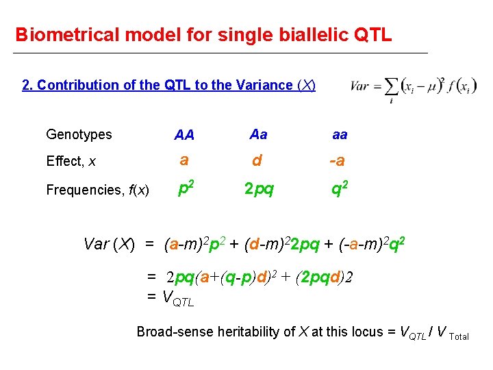 Biometrical model for single biallelic QTL 2. Contribution of the QTL to the Variance